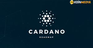 cardano cardano