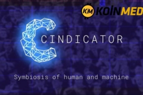 Cindicator nedir