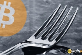 Fork, HardFork, SoftFork nedir?