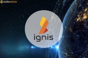 Ignis coin nedir?