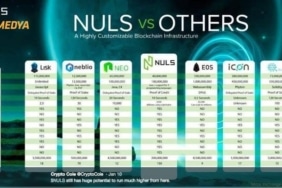 Nuls Token And Others