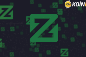 zcoin (1)