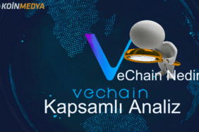 VeChain (VEN) nedir? Temel Analiz