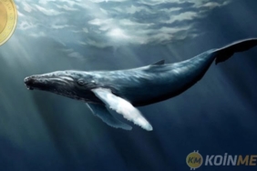 bitcoin balina-koinmedya