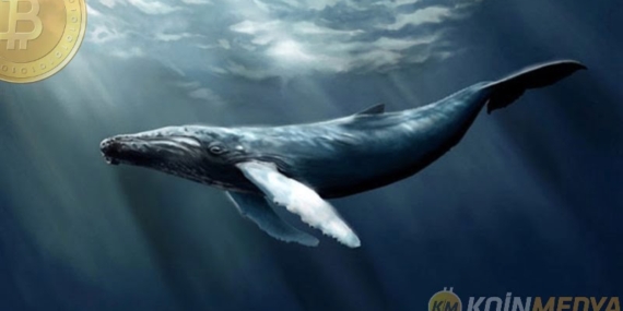 En sıcak Bitcoin ve Ethereum balina istatistikleri!