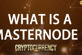 masternode nedir