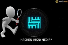 Hacken (HKN) nedir?