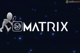 Matrix Al Network (MAN) nedir?