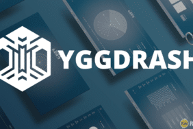 YGGDRASH (YEED) Nedir?