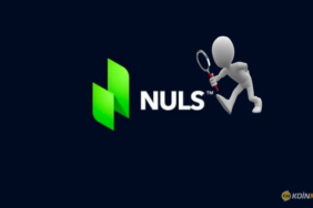 NULS coin nedir? NULS/USD yorum, geleceği ve haberler