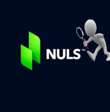 NULS coin nedir? NULS/USD yorum, geleceği ve haberler