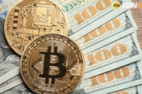 Kripto para ayı piyasasında gerçek yatırımcılar sektöre ilgi duyuyor