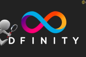 DFINITY (DFN) Coin Nedir?