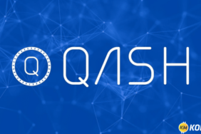 QASH Coin nedir kapsamlı analiz