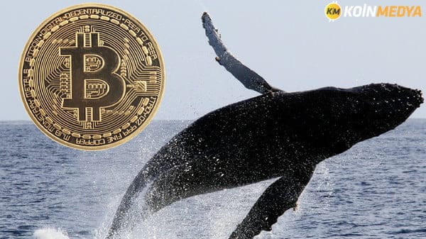 Mega balina hafta sonu ne kadar Bitcoin aldı?