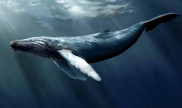 ETH toplam arzının 46.000 Bitcoinlik dev balina hareketi