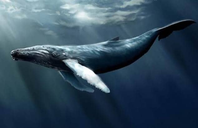 ETH toplam arzının 46.000 Bitcoinlik dev balina hareketi