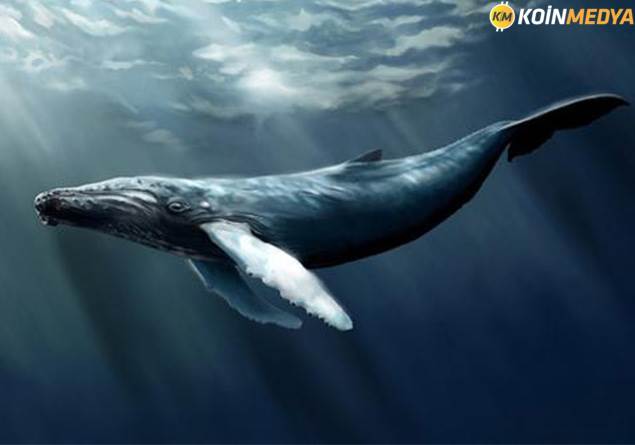 ETH toplam arzının 46.000 Bitcoinlik dev balina hareketi