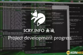 Scry.Info (DDD) Coin