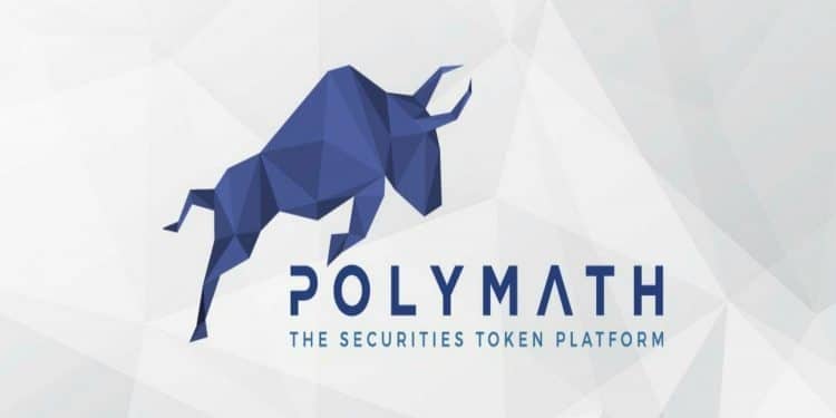 Polymath rehberi: POLY token nedir, geleceği var mı?