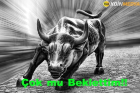 12 adımda Bitcoinle 12 milyon dolar kazanma rehberi!