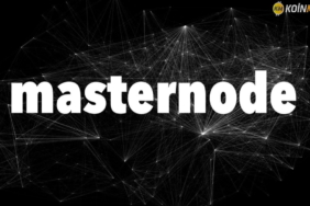 masternode kurulumu-rehperi