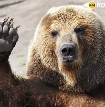 İşte ayı piyasasına meydan okuyan kripto para! Litecoin halving etkisi başlamadan bitti mi?