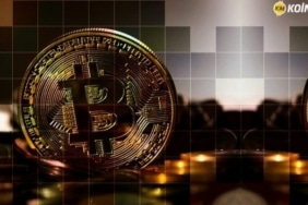 Bitcoin kim daha aptal