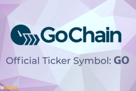gochain nedir