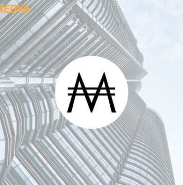 monetarycoin nedir