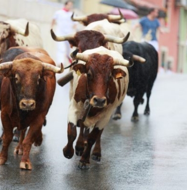 2023-ripple-boga-kosusu-koinmedya-com