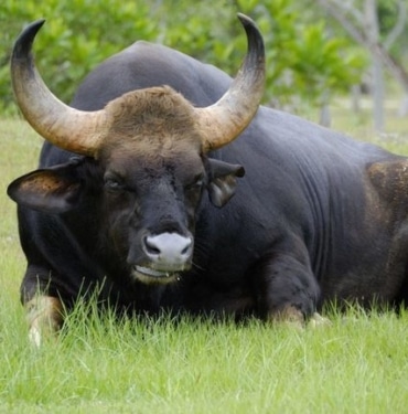 "DİKKAT! Şimdiye kadar gördüğüm en büyük Bitcoin boğa tuzağı!"