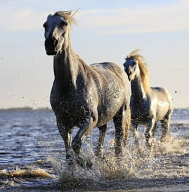 Ripple Ethereum’un gerisine düştü