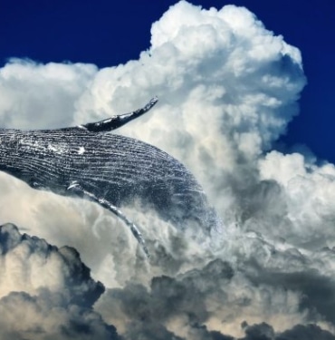 chainalysis-raporu-bitcoin-balinalari-volatilite-uzerinde-hic-bir-zaman-etkili-olmadi