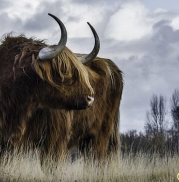 Bitcoin’de 30.000 doları bekleyen analistten altcoin sezonu açıklaması!