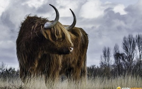 Bitcoin’de 30.000 doları bekleyen analistten altcoin sezonu açıklaması!