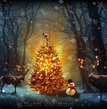 Mati Greenspan: kripto para yatırımcıları keyifli bir yılbaşı yaşayabilir