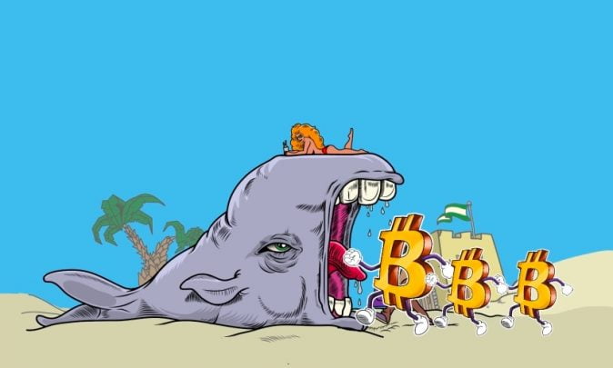 Balinalar Bitcoin topluyor, fiyatı nasıl etkiler?