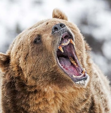 bitcoin-altcoin-sezonu-ne-zaman-koinmedya-com