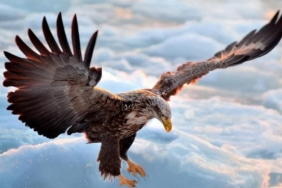 Yılın en çok kazandıran kripto parası rekora doymuyor!