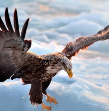 Yılın en çok kazandıran kripto parası rekora doymuyor!