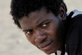 Shiba Inu yatırımcıları endişeli - Shiba yükselişi buna bağlı!