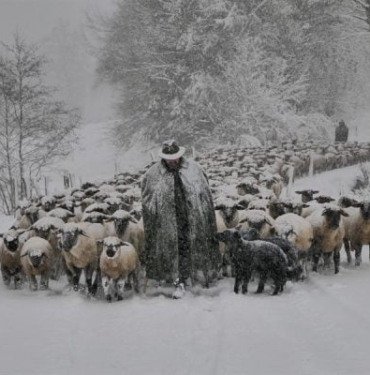 Kripto piyasasında en kötü