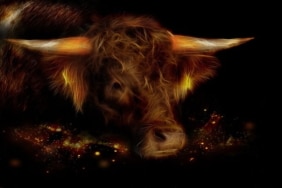 Bitcoin her zamankinden