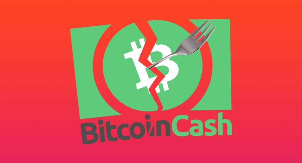 Bitcoin Org Kurucusu Uyariyor Bitcoin Cash Oldu Koinmedya - 