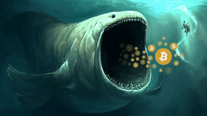 Bitcoin balinalarından dikkat çeken rekor!