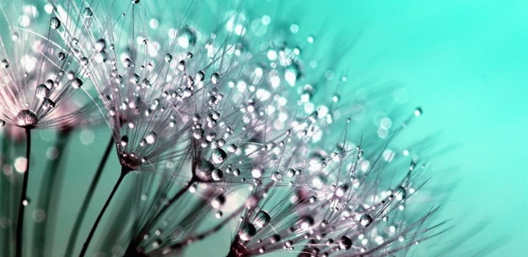 kripto para borsalarının düzenlenmesi