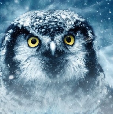 Kripto balinalarının gözünü diktiği Ethereum tabanlı iki kripto para