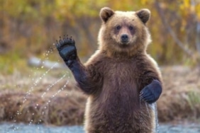 Bitcoin ayı piyasası bitti mi? - Analiz platformu açıkladı