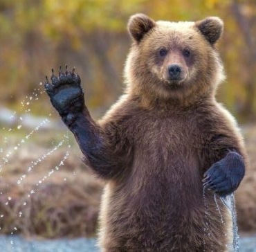 Bitcoin ayı piyasası bitti mi? - Analiz platformu açıkladı